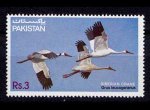 Pakistan Vögel Birds Wildlife 1983 ** (b445