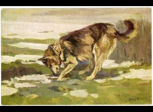 AK Hund Sanitätshund im Felde Wohlfahrtskarte Malerei signiert (2931