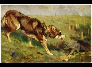 AK Hund Sanitätshund im Felde Wohlfahrtskarte Malerei signiert (2932