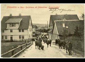AK Hahnenklee Goslar Dorfstrasse Damenkapelle 1907 (2453