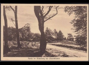 AK Bückeberg bei Oberkirchen Sauerland 1934 (22627