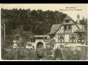 AK Strassburg Bauernhaus in der Orangerie (1229