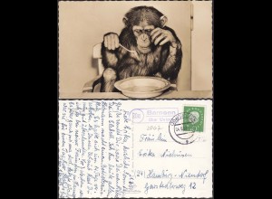 AK Posthilfstelle/Landpost BARNSEN über Uelzen 1959 (12984