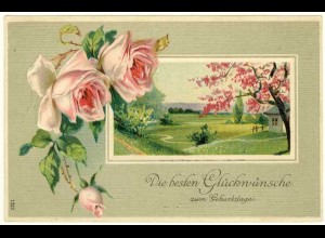 AK 1911 Glückwunsch Geburtstag Birthday tolle Karte Rosen Prägedruck (2816