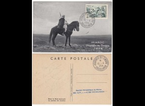 Morocco - Maroc 1954 Maximum card horses Bedouins CASABLANCA (28649