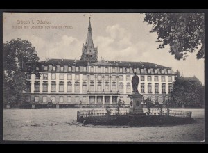  AK Erbach Odenwald Schloss Demkmal Feldpost 1916 (17297