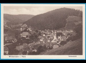 AK Wildemann i. Harz Goslar Teilansicht (2451