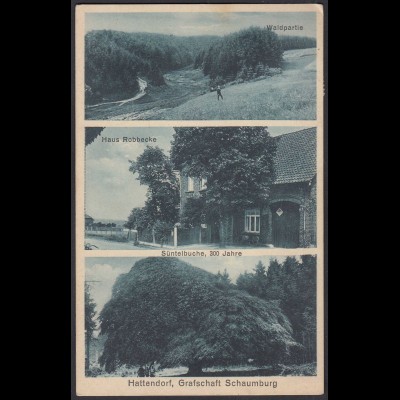 AK Hattendorf Grafschaft Schaumburg Haus Robbecke 1932 (26724