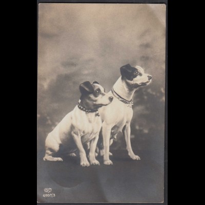AK 2 Hunde 1930 gelaufen FAS 6957/3 (66171