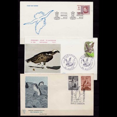 Vögel Tiere Wildlife Birds 3 covers or cards (b254
