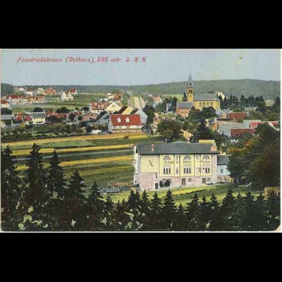 AK 1916 Sachsen-Anhalt Friedrichsbrunn mit Grebe Hotel + Gesamtansicht (0901
