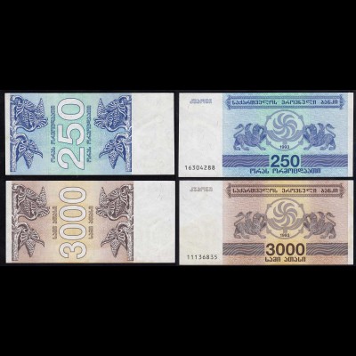  Georgien - Georgia 250 + 3000 Laris 1993 Banknoten XF (2) (17514