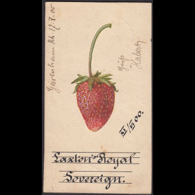 AK 1900 Eigen Herstellung Erdbeere LAXTON ROYAL Sovereign (26683
