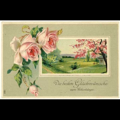 AK 1911 Glückwunsch Geburtstag Birthday tolle Karte Rosen Prägedruck (2816