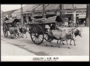 Vietnam 1966 AK Saigon XE BO Ochsenkarren - Ox cart (28455