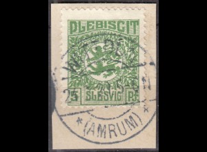 Abstimmungsgebiete Schleswig-Slesvig Mi.2 – 5 Pfg. gebraucht used 1920 (70251