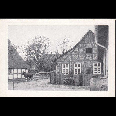 AK Wiedensahl Schaumburger Land Geburtshaus Wilhelm Busch (31748