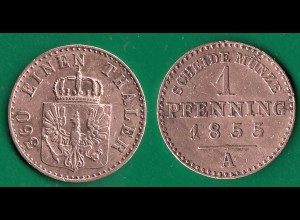 Brandenburg-Preussen 1 Pfennig 1855 A Friedrich Wilhelm IV. 1840-1861 (32542