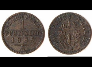 Brandenburg-Preussen 1 Pfennig 1865 A Wilhelm I. 1861-1888 (p133