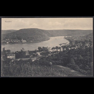 AK Niederwald bei Rüdesheim 1912 Gesamtübersicht (17144