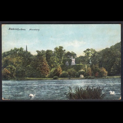  AK Bieberich (Wiesbaden) am Rhein Moosburg (17310