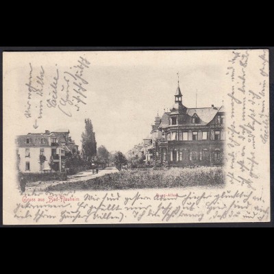 AK Gruss aus Bad Nauheim Burg-Allee 1902 (17387