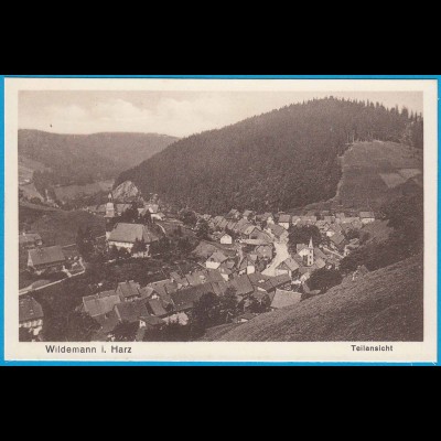 AK Wildemann i. Harz Goslar Teilansicht (2451