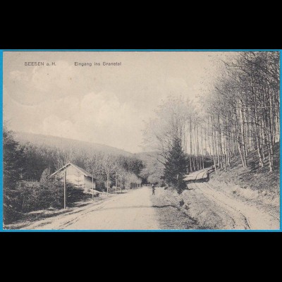 AK Seesen a. Harz Granetal Goslar 1909 (2452